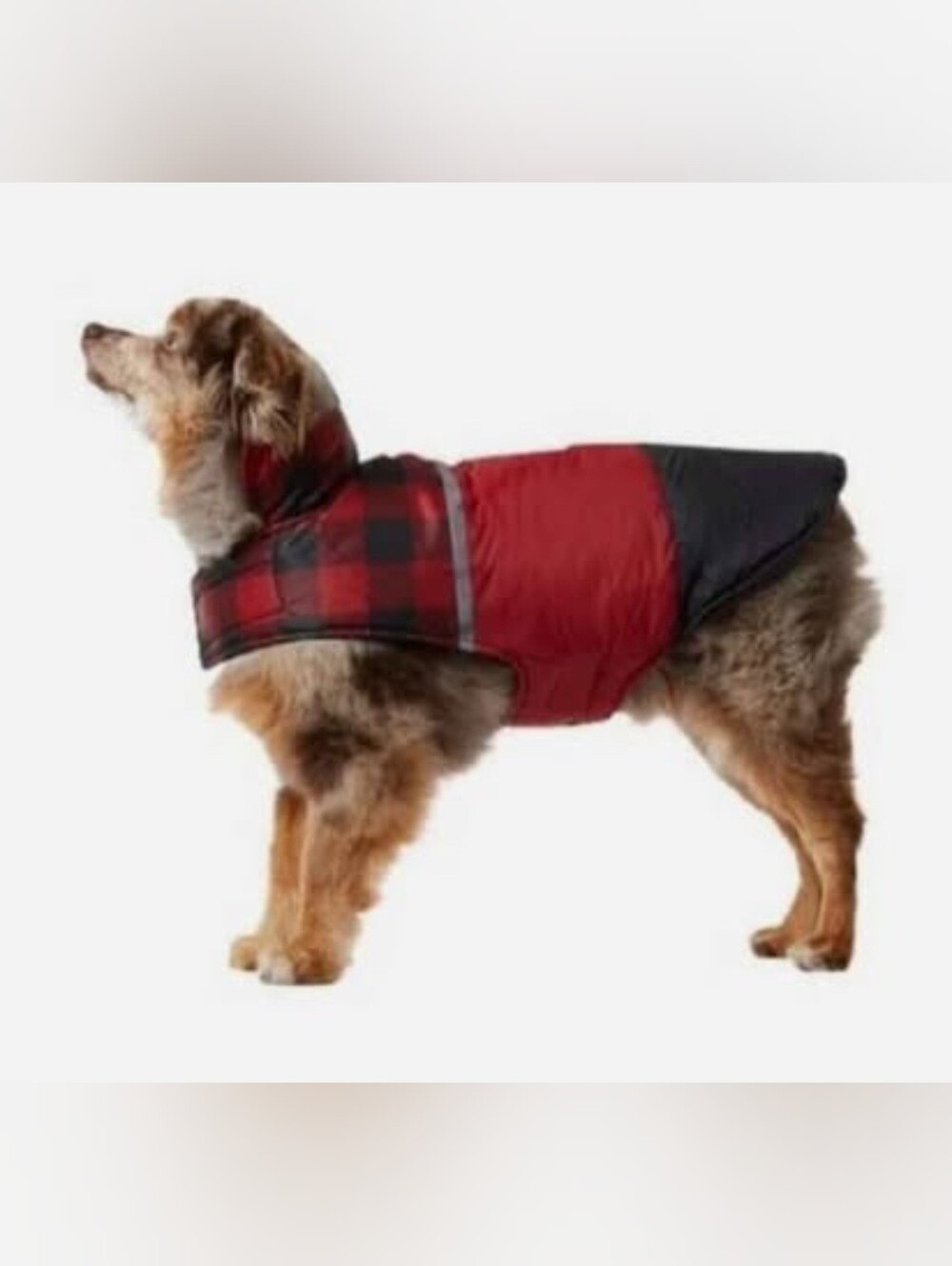 32º Degrees Heat Dog Reflective Trim Jacket Vest Red And Black Size M